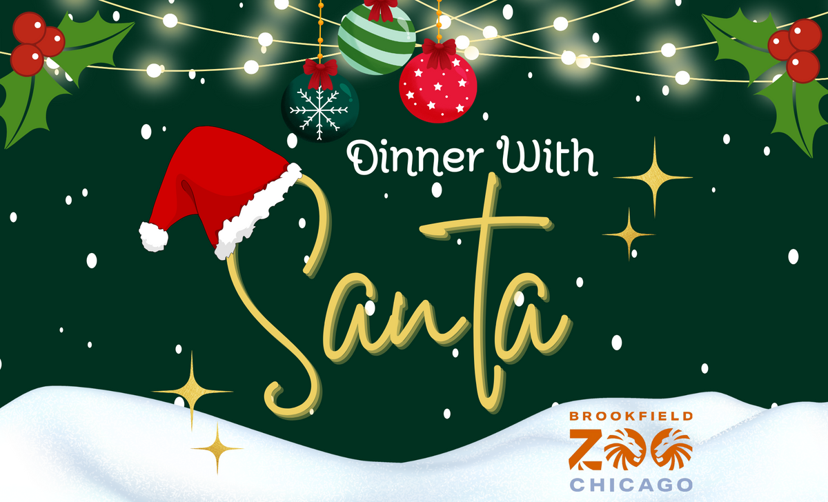 Dinner with Santa 2026 SUNDAY