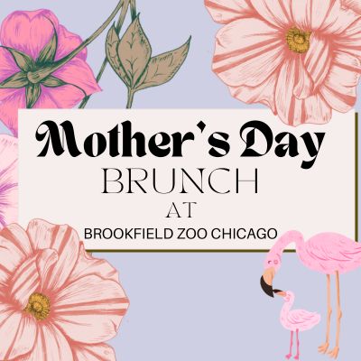 Mother's Day Brunch 2026